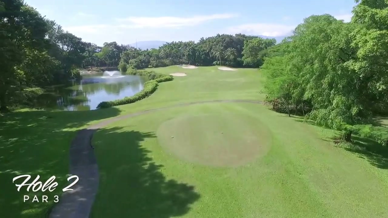 比較用の参考映像